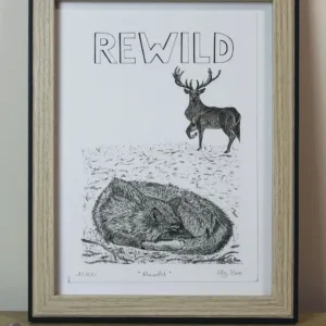 rewild