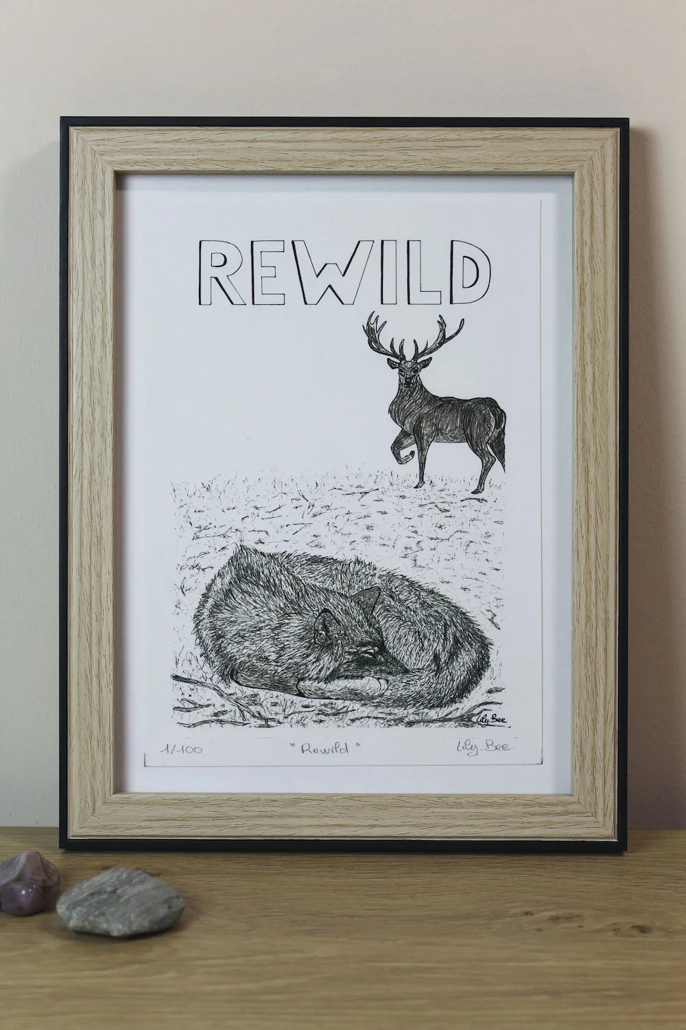 rewild