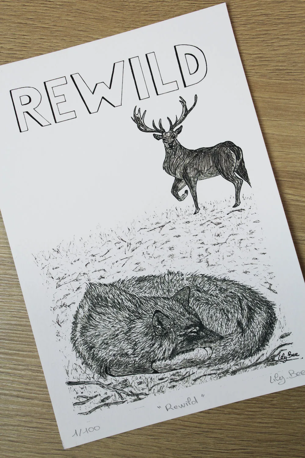 rewild