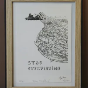 stop overfishing