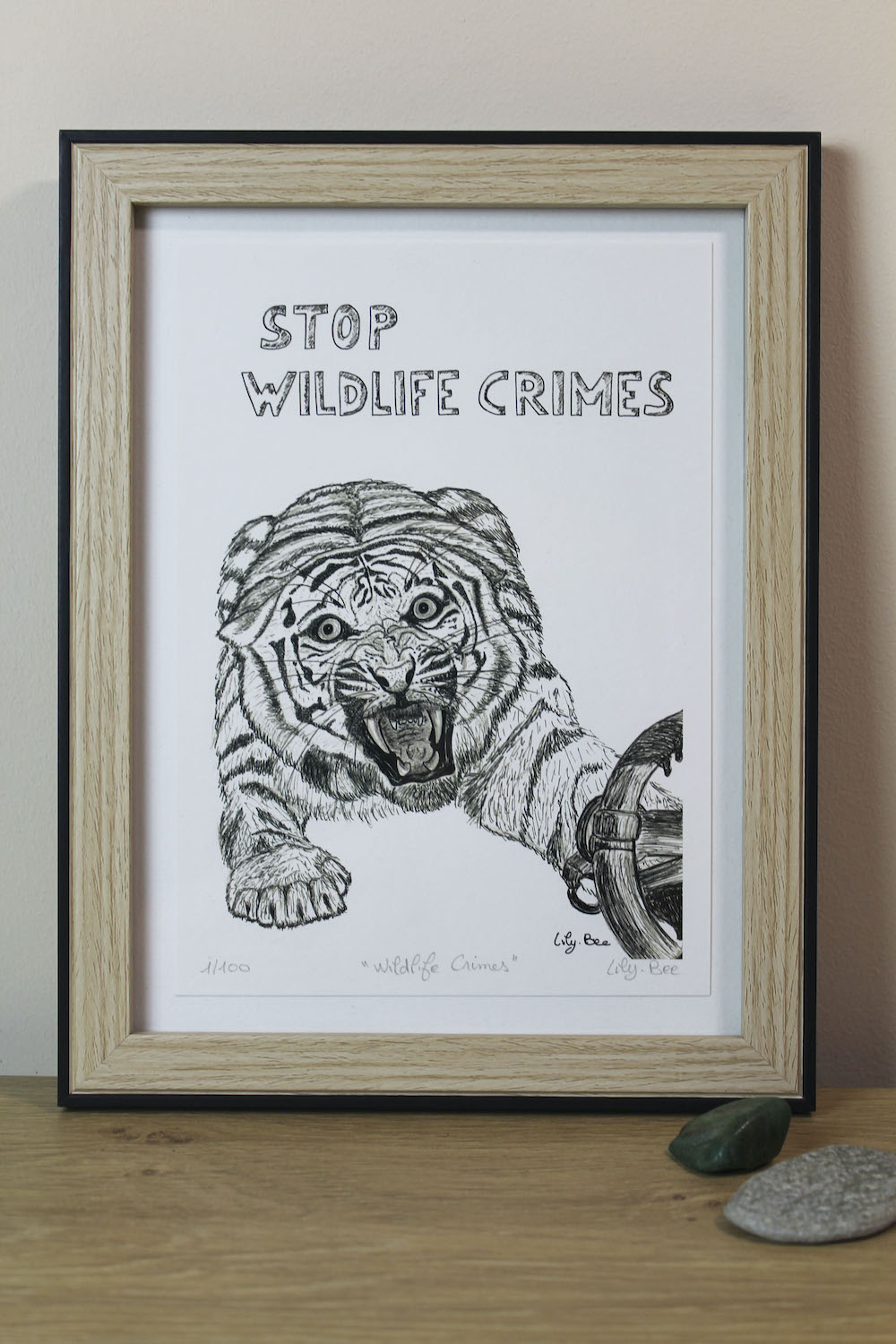 wildlife crimes