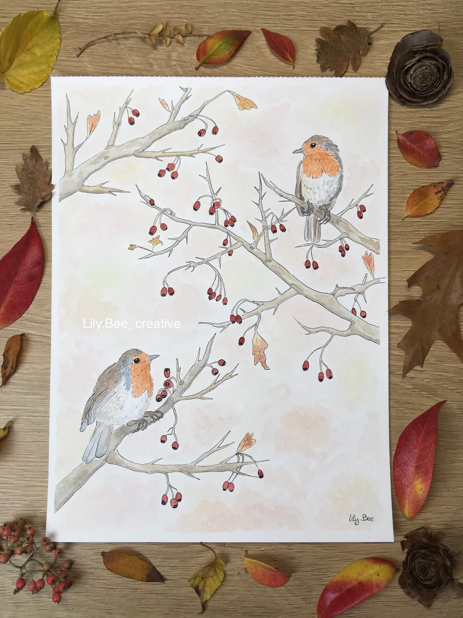 Oiseaux Pimpants (Illustration Aquarelle) – Image 2