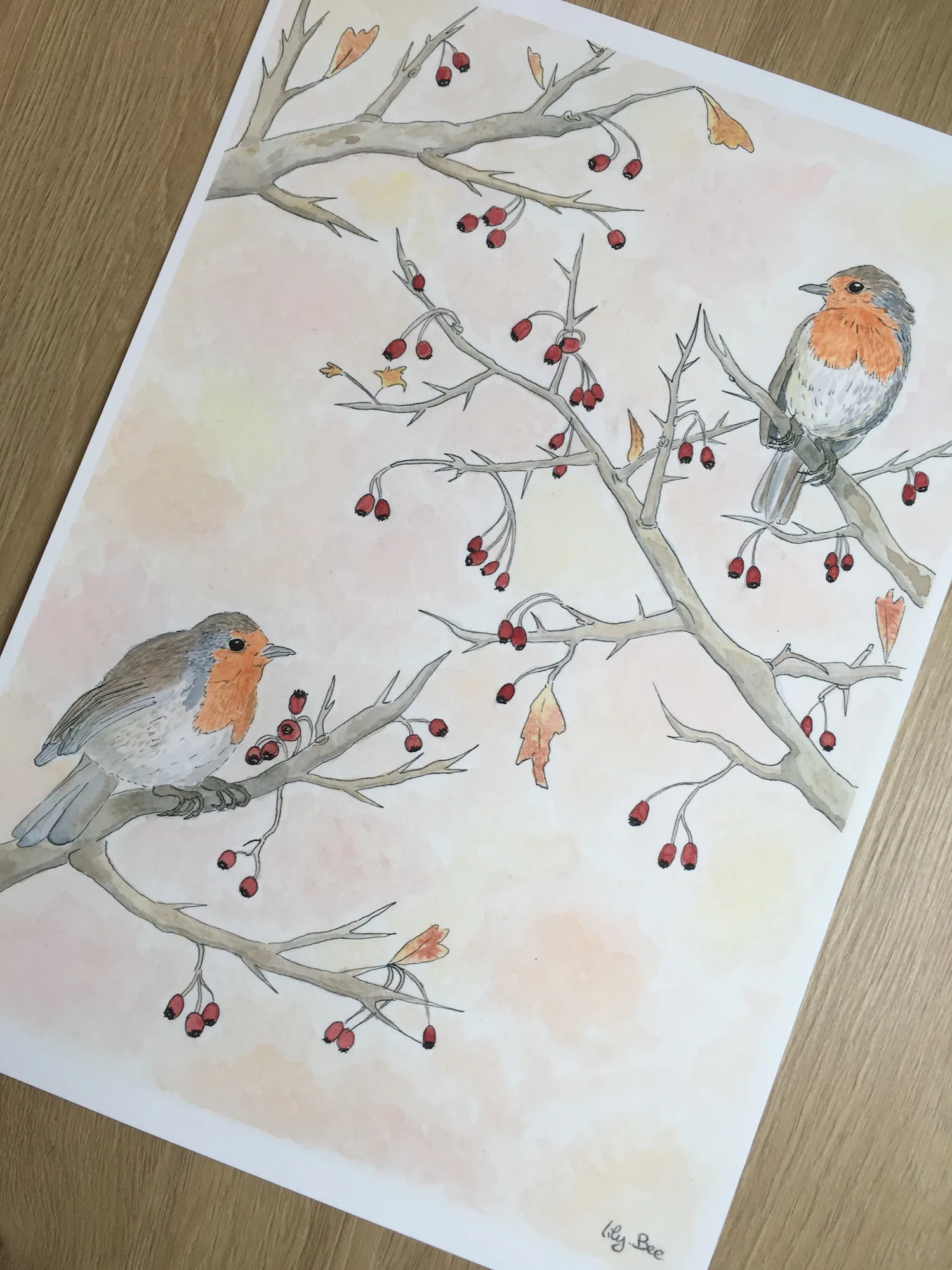 Oiseaux Pimpants (Illustration Aquarelle) – Image 3