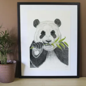 panda rieur