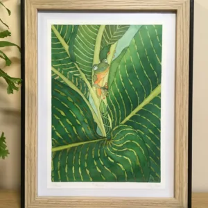 rana aquarelle tropicale