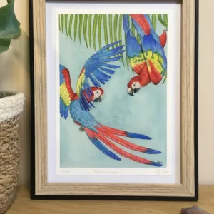 guacamayas perroquet aquarelle collection tropicale