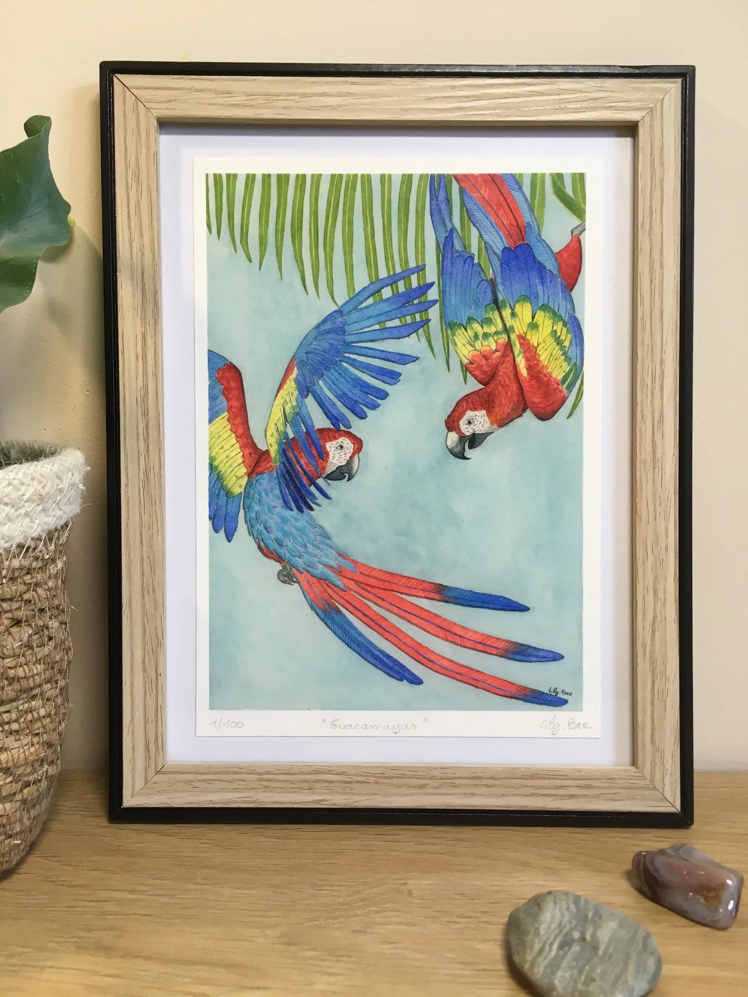 guacamayas perroquet aquarelle collection tropicale