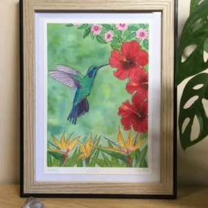 colibri aquarelle tropicale