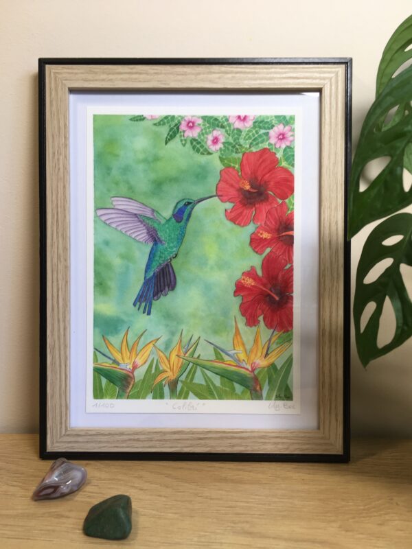 colibri aquarelle tropicale