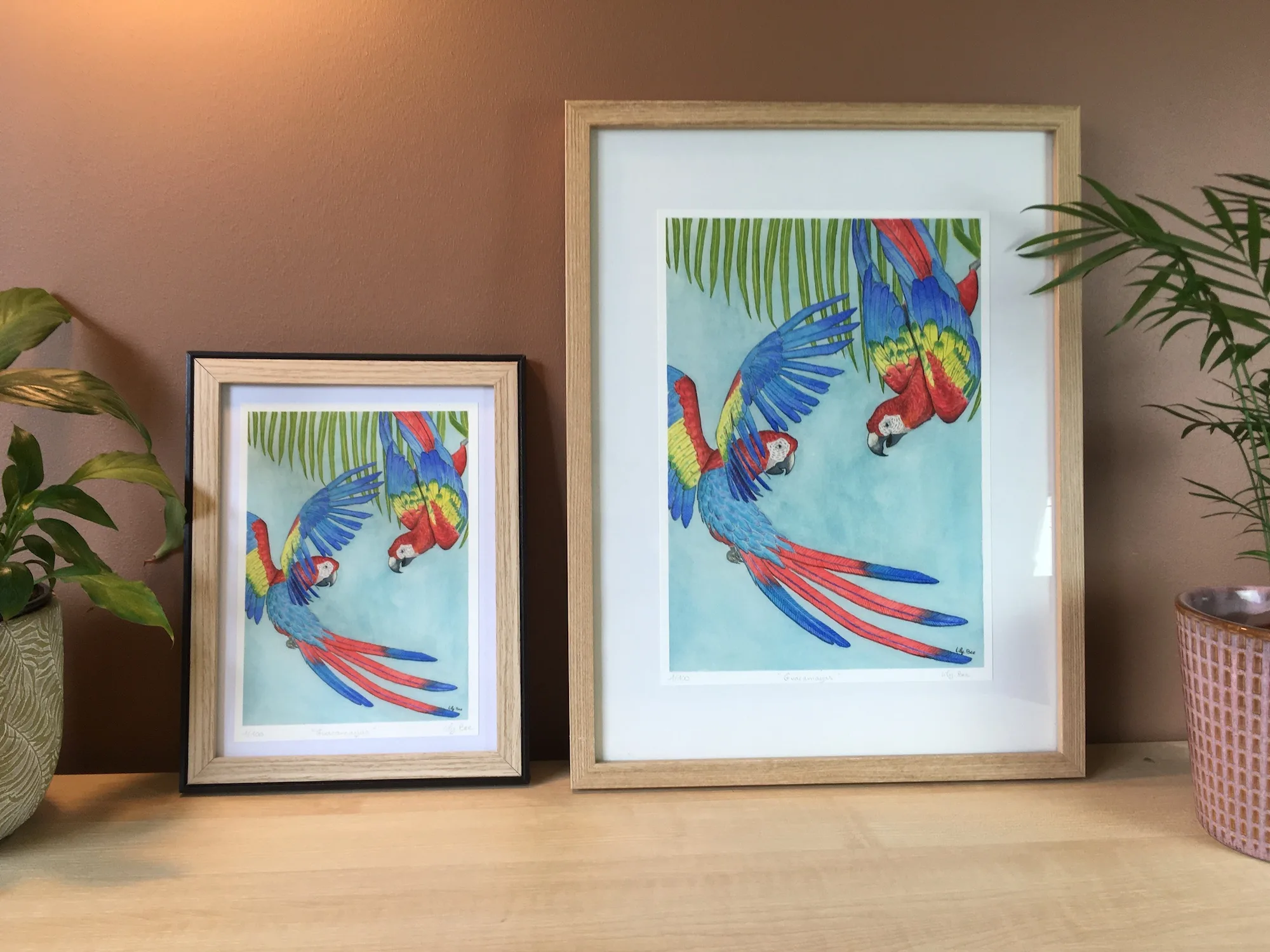 guacamayas A4 A5 aquarelle encadrée