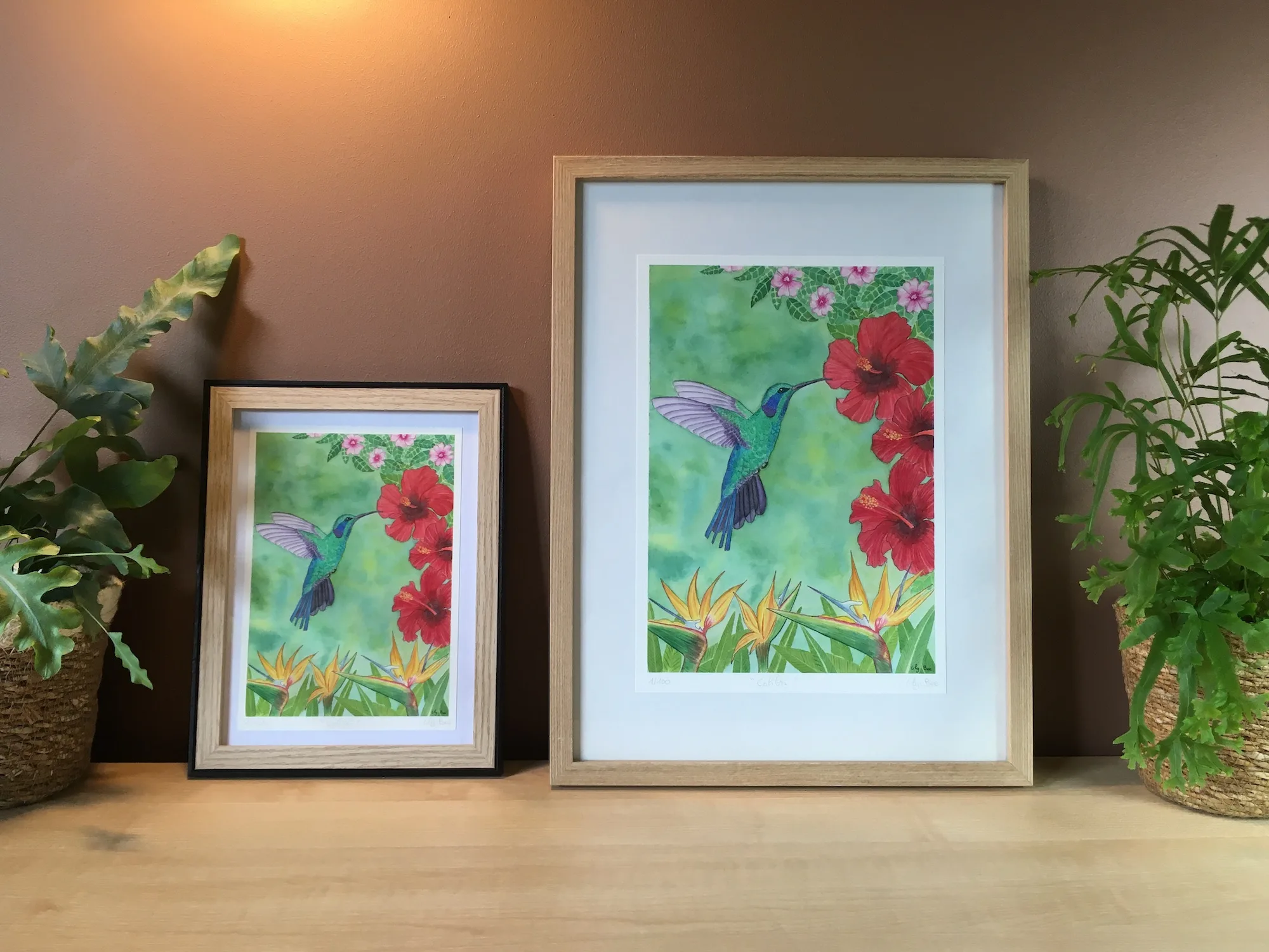 colibri A4 A5 encadré