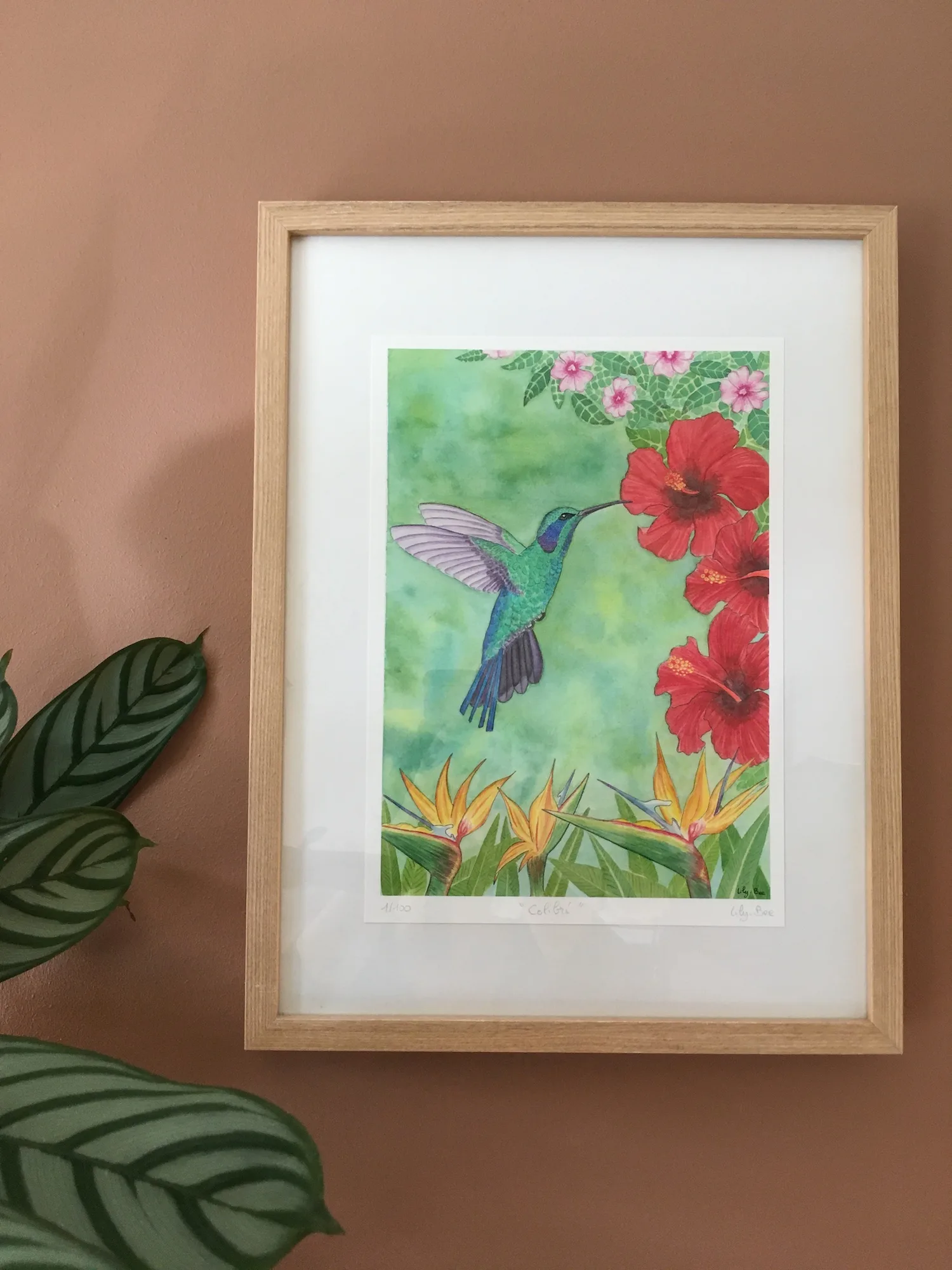 colibri A4 encadré collection tropicale