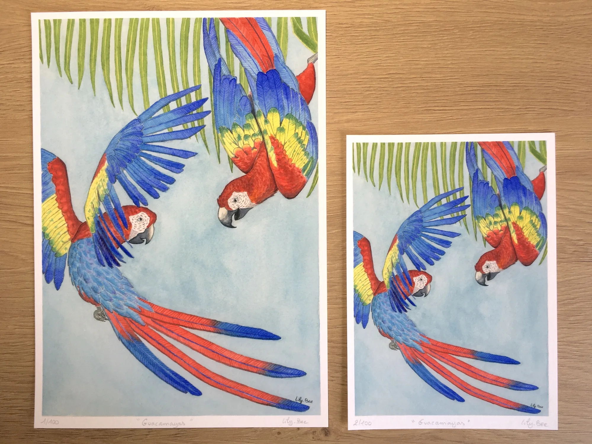 Guacamayas A4 A5 tirage