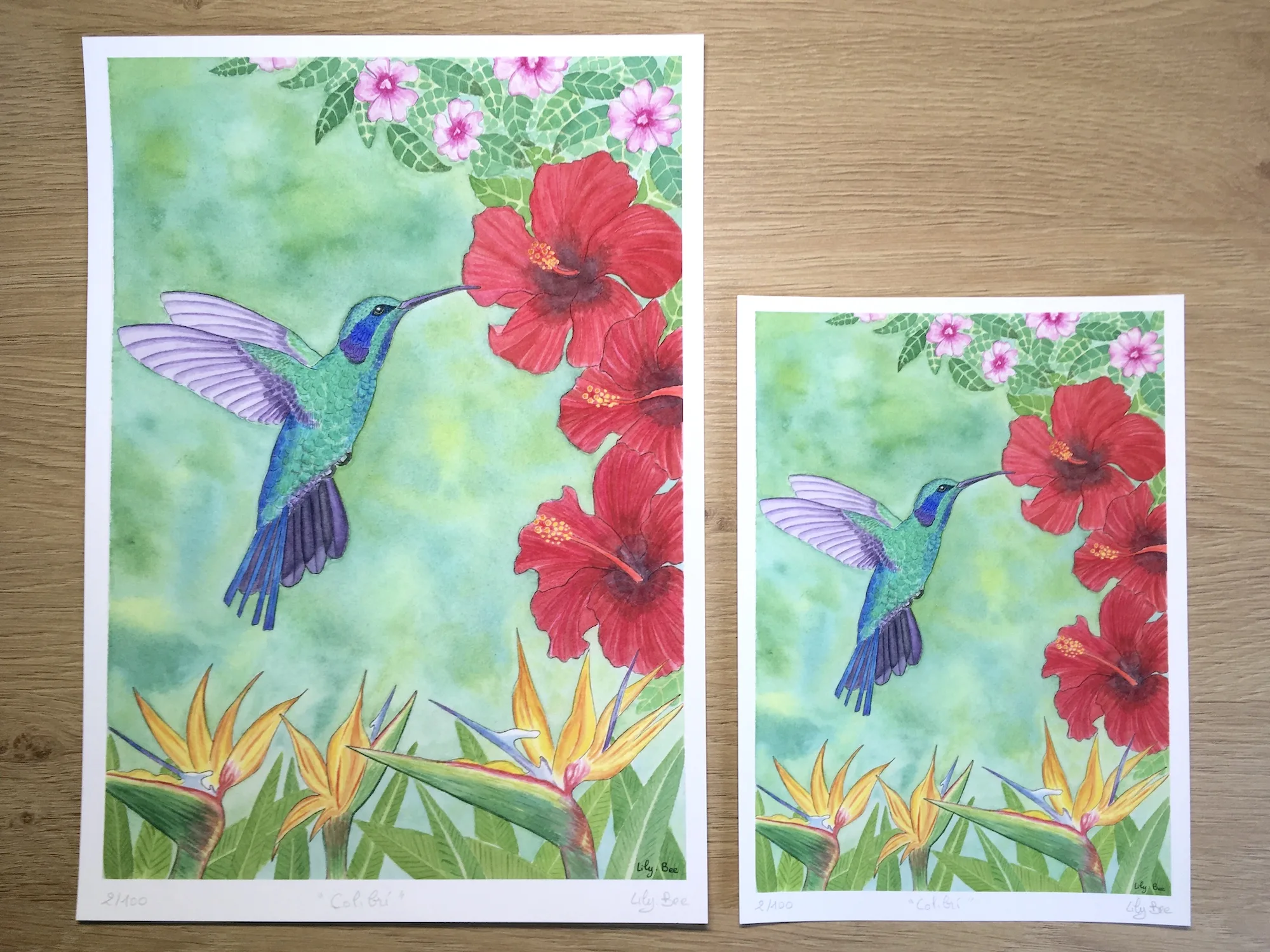 colibri A4 A5 tirage aquarelle tropicale