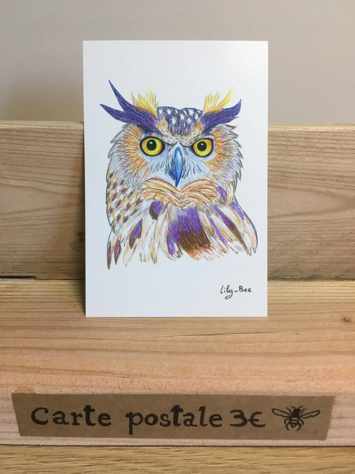 carte postale hibou présentoir