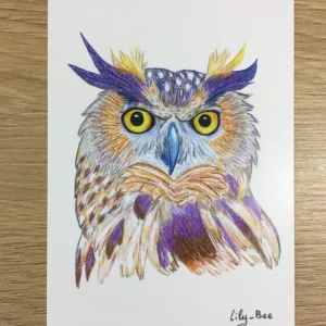 carte postale hibou recto