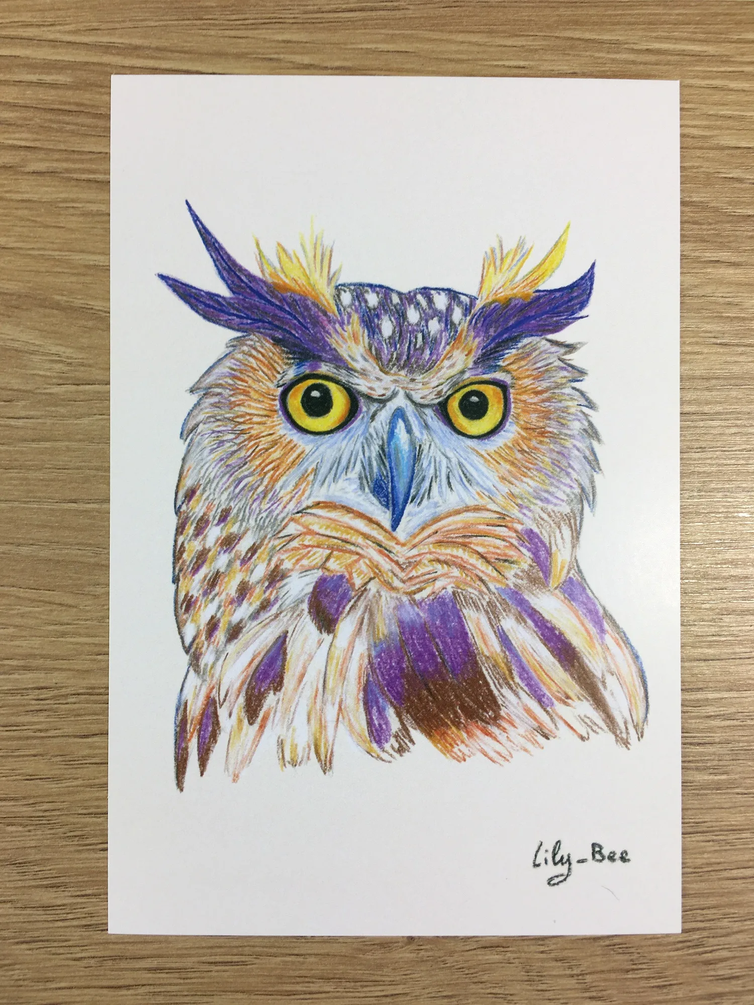 carte postale hibou recto