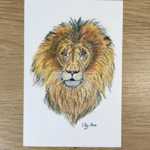 carte postale lion recto