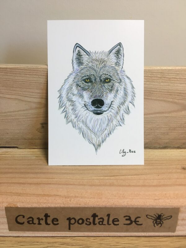 carte postale loup présentoir