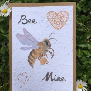 carte à planter bee mine paquerettes