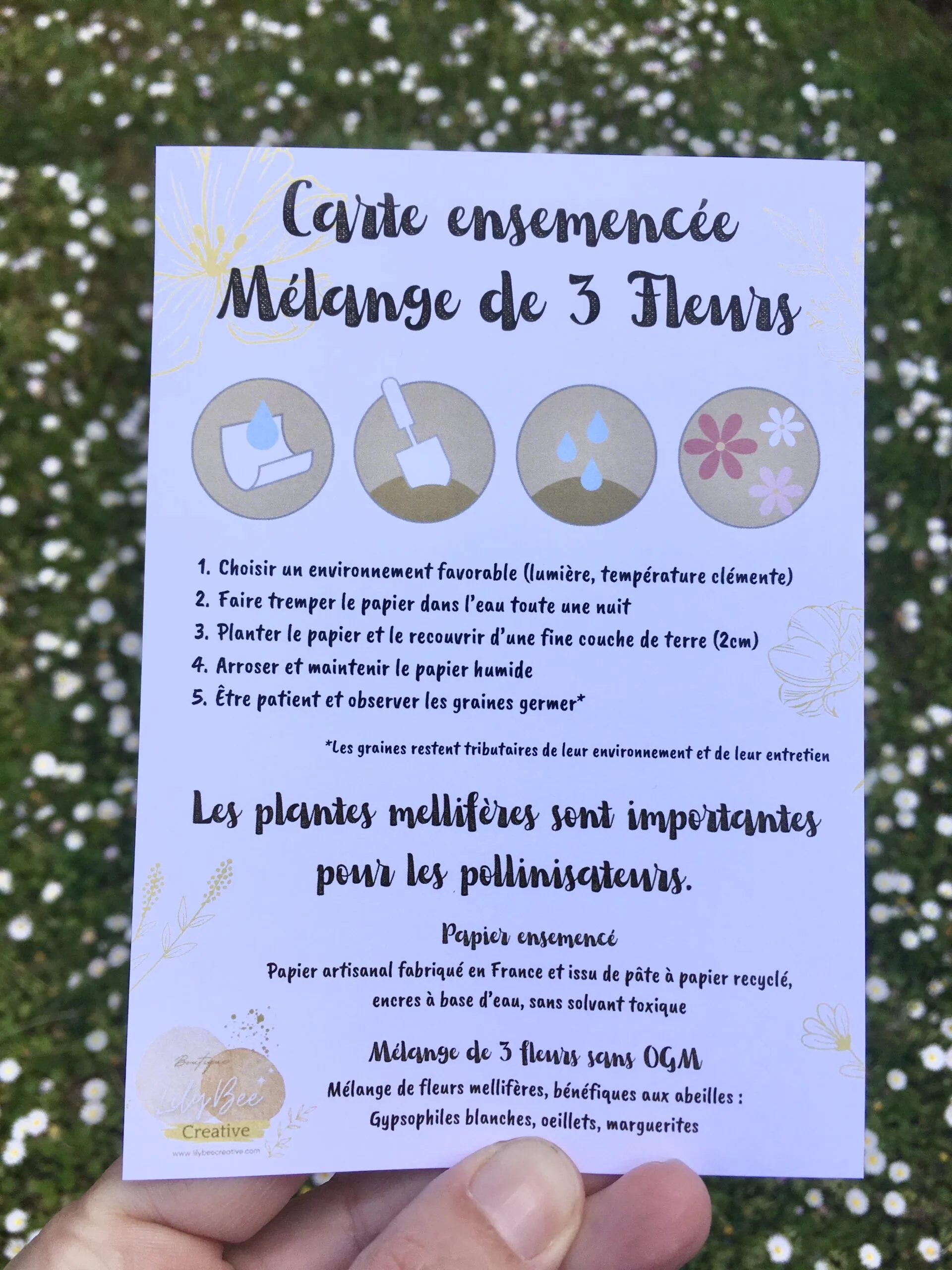 notice de plantation