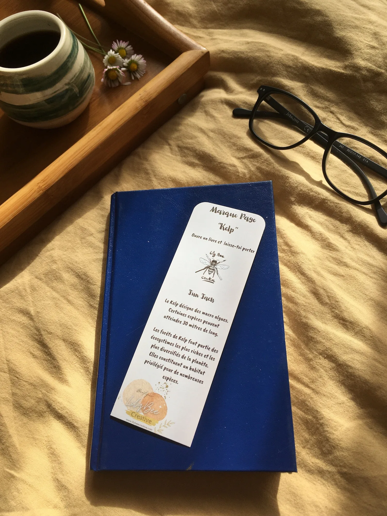 marque page kelp livre verso