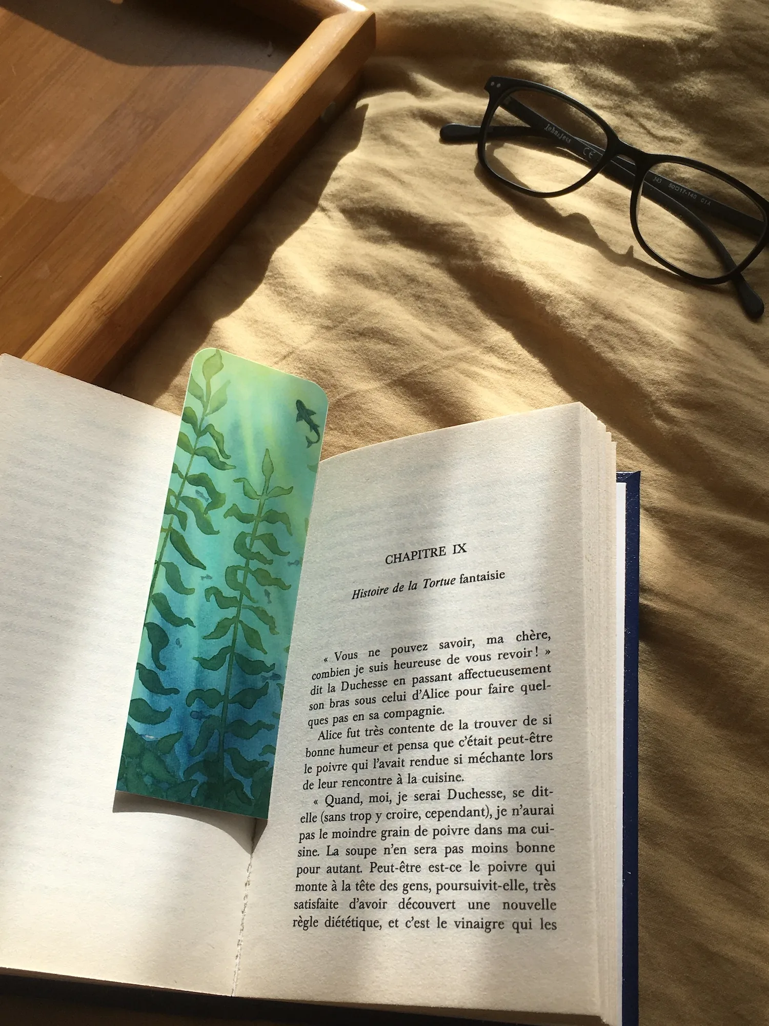 marque page kelp livre ouvert