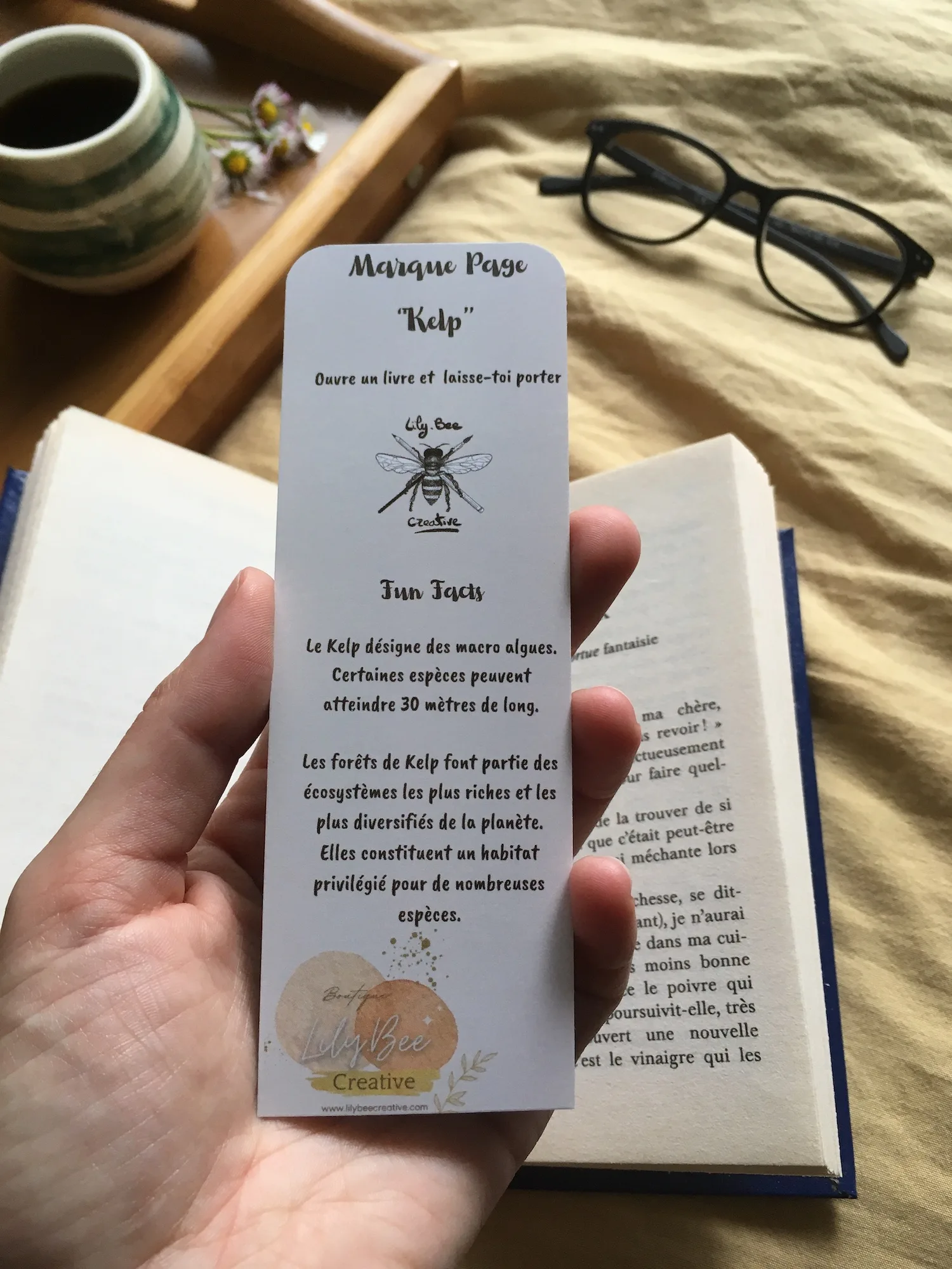 marque page kelp livre tenu en main verso