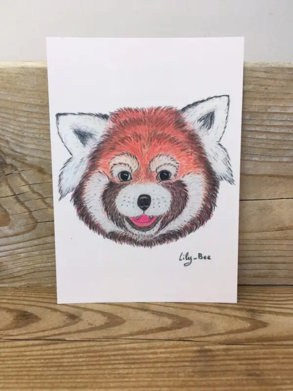 carte postale pastels panda roux présentoir