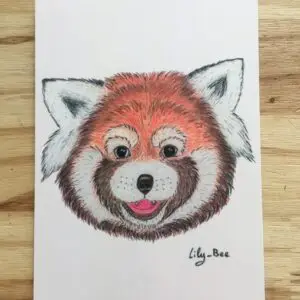 carte postale pastels panda roux recto