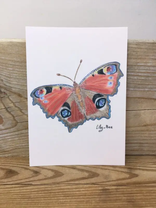 carte postale pastels papillon présentoir