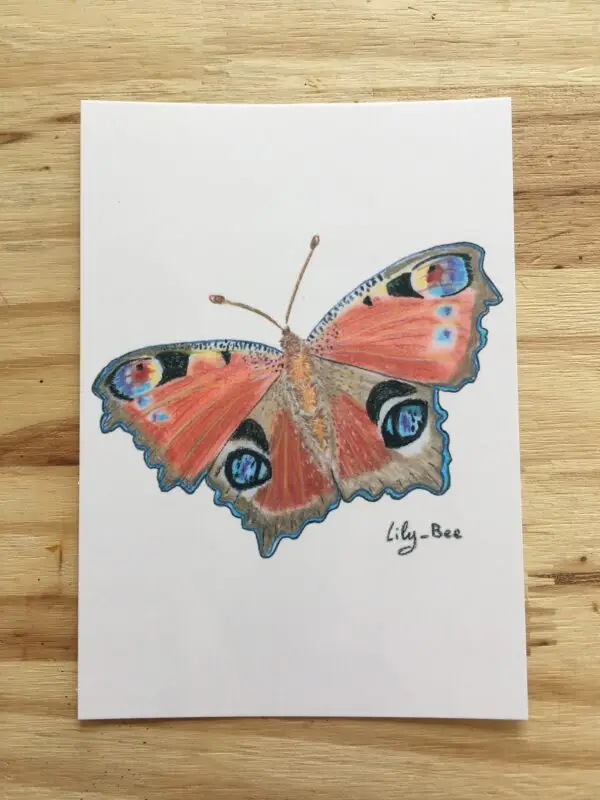 carte postale pastels papillon recto