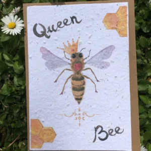 vue carte queen bee paquerettes