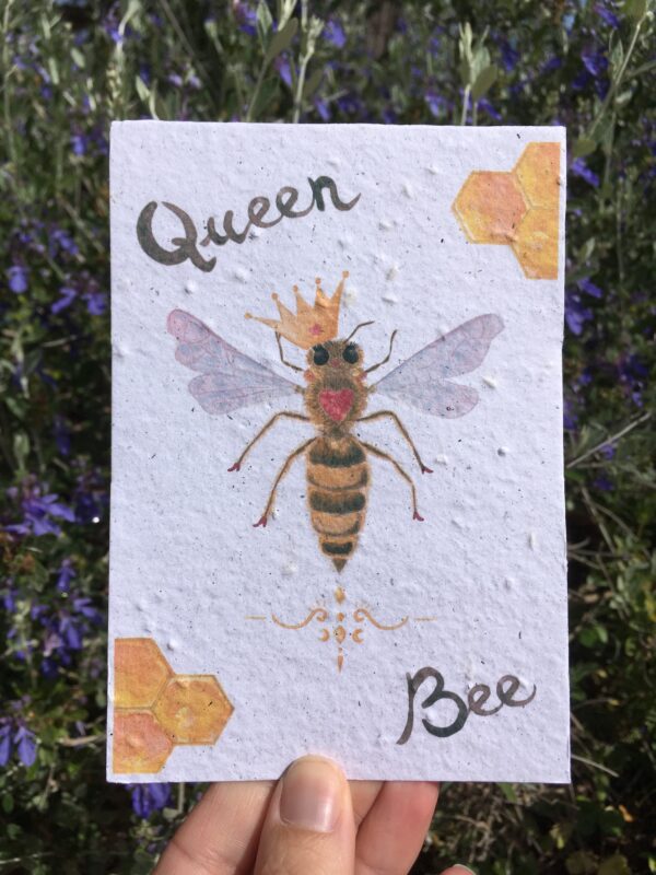vue carte queen bee prise en main