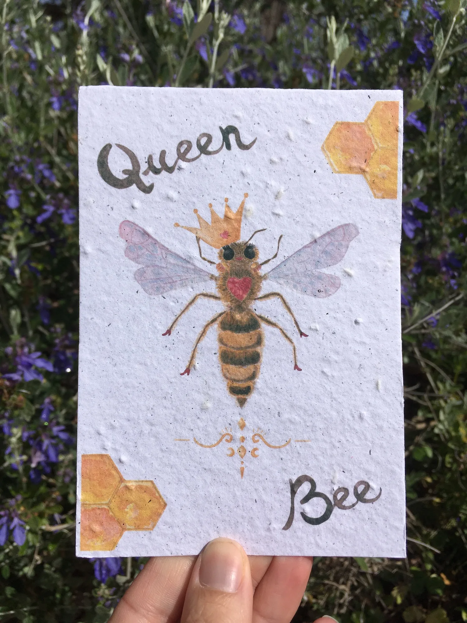 vue carte queen bee prise en main