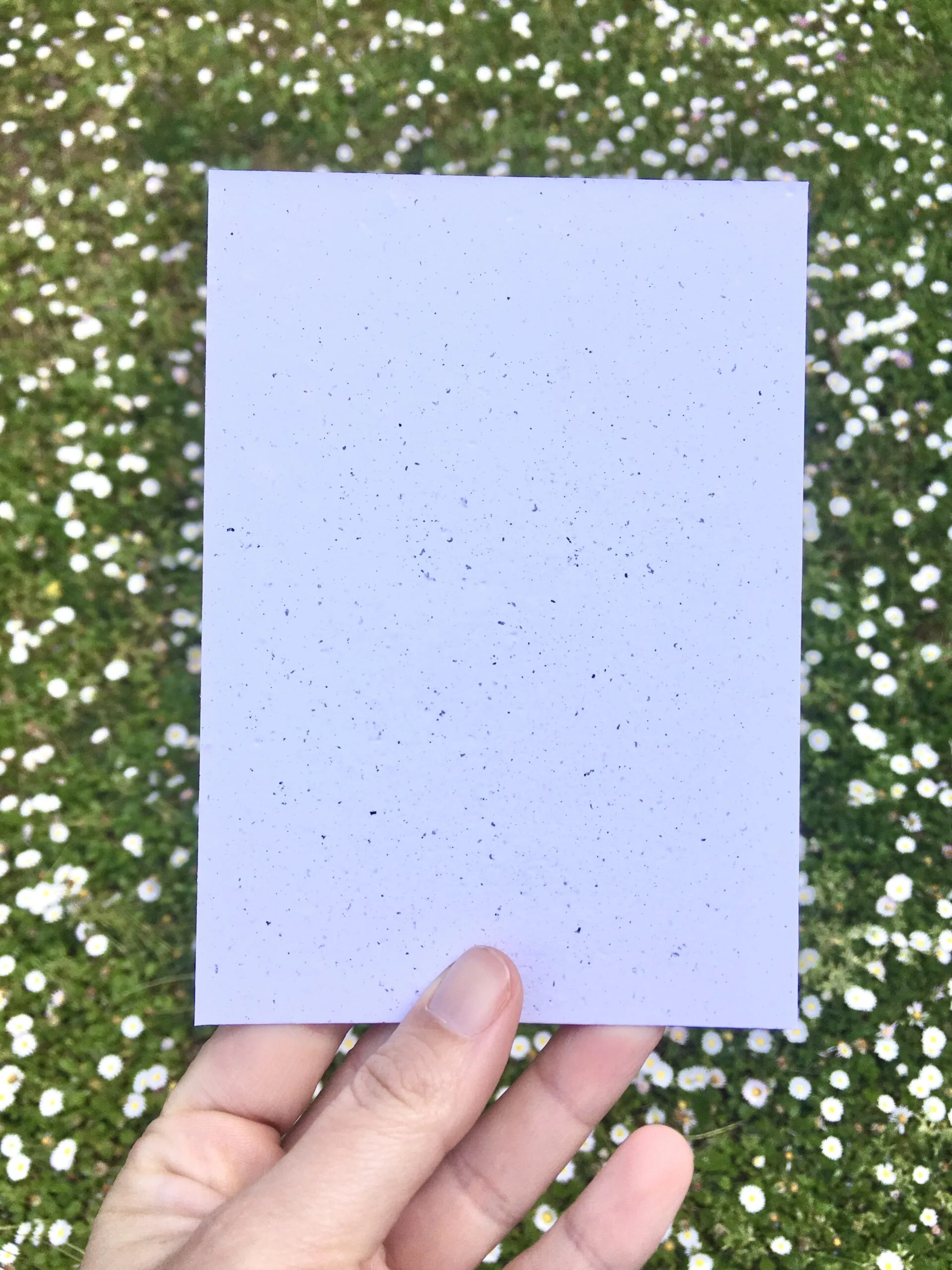 verso vierge carte à planter