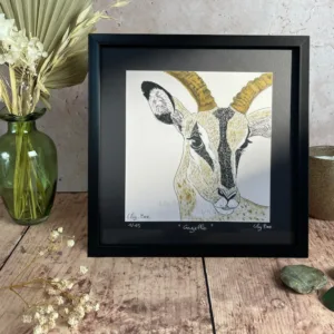 Regard animal "GAZELLE" (symbole vivacité et grâce)