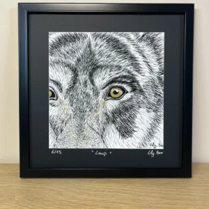 regard animal loup vue face