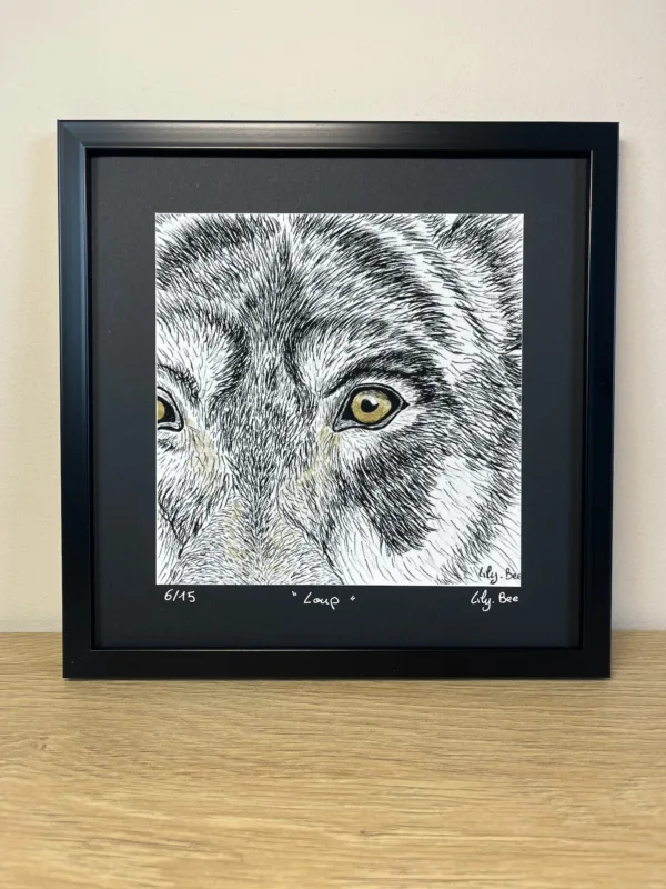 regard animal loup vue face