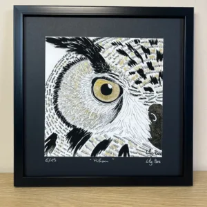 regard animal hibou vue face