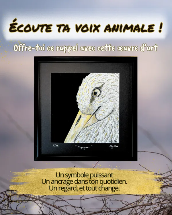 écoute ta voix animale cigogne