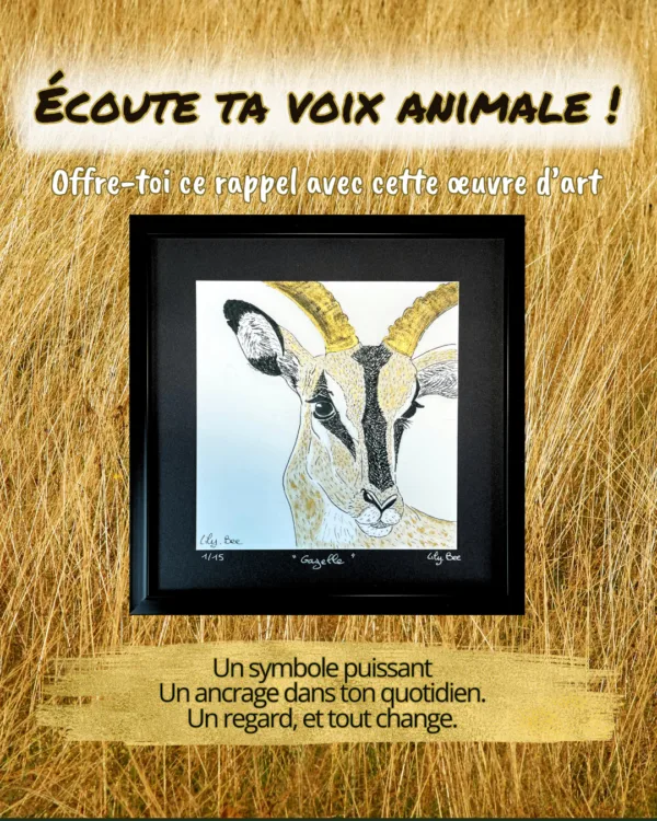 écoute ta voix animale gazelle