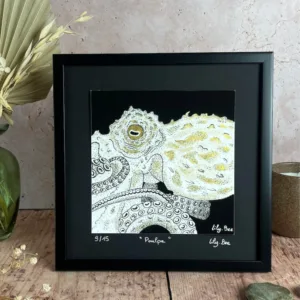 Regard Animal "POULPE" (symbole adaptation et créativité)