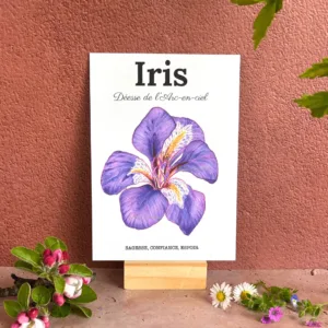 iris carte botanique