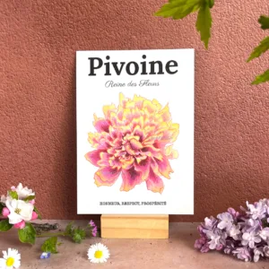 carte botanique pivoine