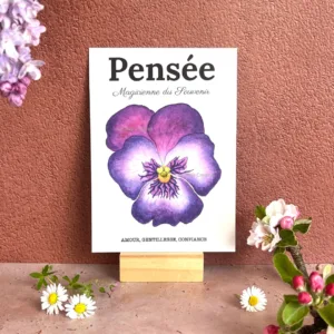 pensée carte botanique